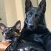 Jason Mollner - Facebook