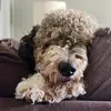 Jackson moravec - @jdjdjrjjrhj - TikTok