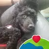 Jason Moseman - @jason.moseman1 - TikTok