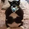 Jason_mullen - @jason.mullen3 - TikTok