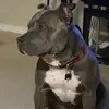 Jason Muller - @jasonmuller060 - TikTok