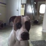 jason mullaney - @jasonmullaney - Instagram