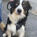 Jason Mullis - @jason131383 - Instagram
