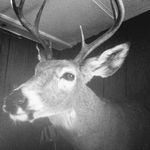 Jason Munger - @jaymunger11 - Instagram