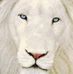 Jason Murphy - Facebook