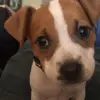 jasonmurphy5257 - @jasonmurphy5257 - TikTok