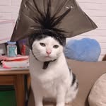 jasonmurphy - @jasonmurphy9643 - Instagram