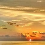 Jason Mushinski - @jasonmushinski - Instagram
