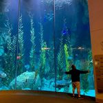 Jason Natal - @jayslittleocean - Instagram