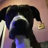 Jason Neace - @addisonx60 - TikTok