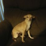 Jason Neese - @jasoneese - Instagram