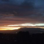 Jasonnewbold - @jasonnewbold8 - Instagram