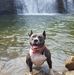 Jason Newcomb - Facebook