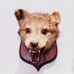 JasonNorton - @jasonnorton - Instagram