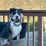 Jason Nuss - @jason.nuss.75 - Instagram