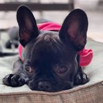 Jason Nutt - @nutter315 - Instagram
