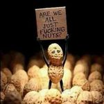 Jason Nutt - @jason.nutt.71 - Instagram