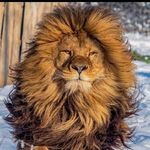 Jason Odum - @odum882 - Instagram