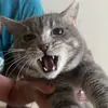 Jason Ohnemus - @jason.ohnemus - TikTok