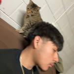 Jason Ojeda-Rodriguez - @jasonojedarodriguez - Instagram