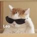 Jason O'Keefe - Facebook