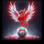 Jason O'keeffe - @okeeffe3870 - Instagram