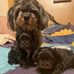 Jason Olmstead - Facebook
