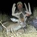 Jason Olmstead - Facebook