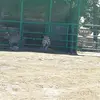 jasonoppermann7 - @jasonoppermann - TikTok