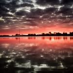 Jason Orth - @jasonorth1 - Instagram