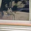 jasonorth - @jasonorth - TikTok