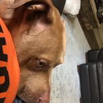 Jason Parrish - @jasonparrish45 - Instagram