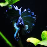 Jason Parrish - @lookattheplanet - Instagram