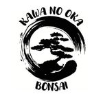 Jason Parrish - @kawanookabonsai - Instagram