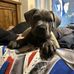 Jason Parsell - Facebook