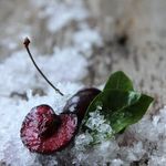 Jason Patch - @patch3_1 - Instagram