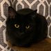 Jason Pell - Facebook