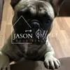 #Realtor#Homesforsale#Home - @jasonpelland - TikTok