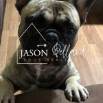 Jason Pelland - @jasonpellandrealtor - Instagram