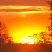 Jason Pender - Facebook