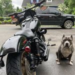 Jason Pender - @jason.pender.338 - Instagram