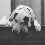 Jason Pender - @pendersdad - Instagram