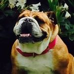 Jason Pepper - @pepper_jason - Instagram