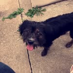 Jason Perrine Jr - @_perrine10 - Instagram