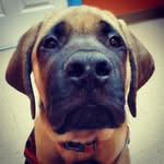 Jason Perron - @rockin7p_viking - Instagram
