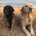 Jason Pfeifer - Facebook