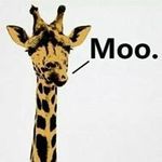 Jason Pfeifer - @pfeifer1381 - Instagram