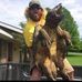 Jason Pharr - Facebook
