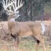 Jason Pharr - Facebook