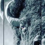 Jason Phifer - @jasonphifer - Instagram